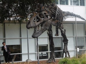 Karena Google Tak Mau Jadi Fosil Dinosaurus