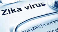 CDC AS Wanti-wanti Virus Zika di Bali, Ini Gejala yang Perlu Diwaspadai