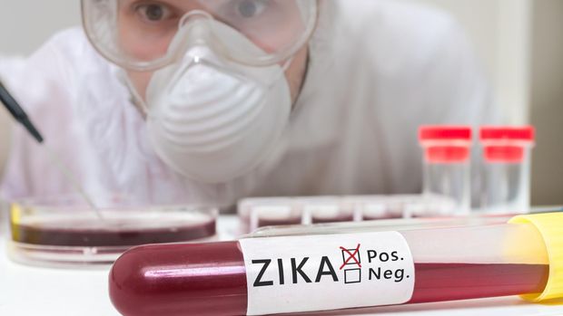 Februari: WHO Tetapkan Wabah Zika Keadaan Darurat Global