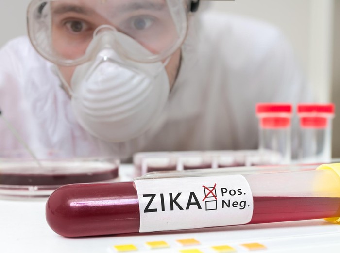 Terjadi Infeksi Lokal, Singapura Konfirmasi 41 Kasus Zika Baru