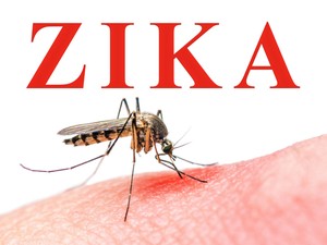 Tes Zika Sulit dan Mahal, Pemeriksaan di Indonesia Masih Pilih-pilih