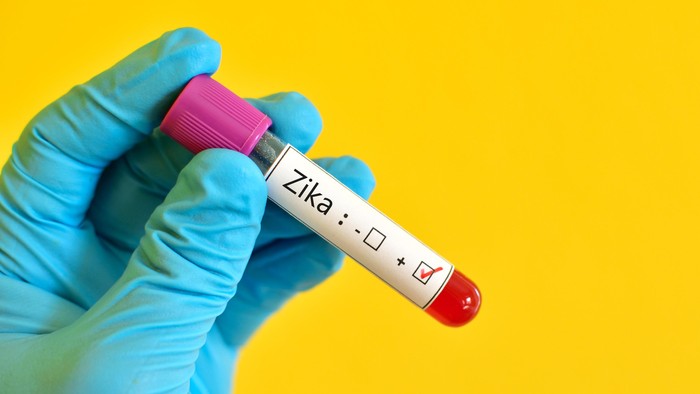 Kasus DBD di Indonesia Lebih Nyata, Tapi Jangan Sampai Zika Diremehkan