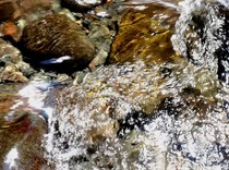 Minyak Tumpah yang Cemari Sungai di Muba Dibersihkan, Kerugian masih Didata