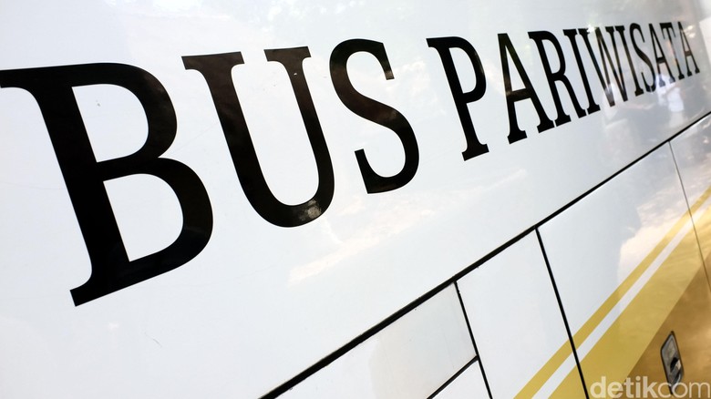 Bus wisata Bus wisatawanan. dikhy sasra/ilustrasi/detikfoto