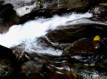 Viral ABG Banjarnegara Terjebak Banjir Sungai Serayu Saat Mancing