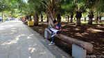 Ngenet di Taman Pohon Sawit di TMP Banyuwangi Yuk!