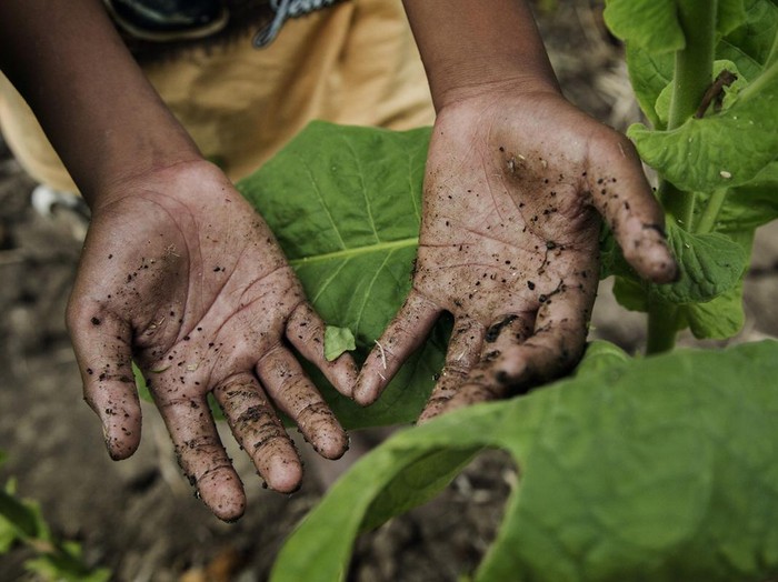 Foto: Human Rights Watch Foto: Human Rights Watch