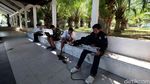 Ngenet di Taman Pohon Sawit di TMP Banyuwangi Yuk!