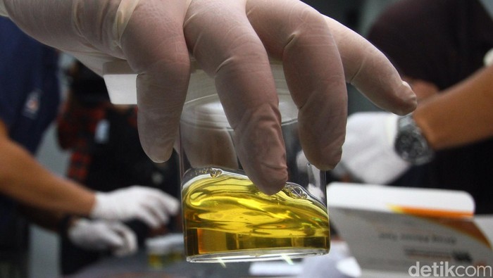 BNNP Akan Tes Urine Semua Angggota DPRD yang Ada di Sumbar