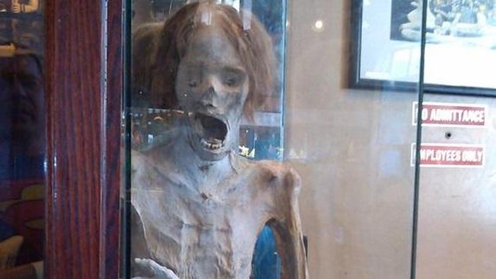 Toko Suvenir Paling Aneh, Simpan Mumi Sampai Duyung