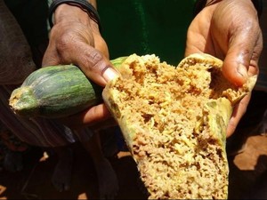 Suhu Pasifik Kini Mendingin, Sinyal Berakhirnya El Nino