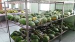 Gudang Makanan Taman Safari Prigen