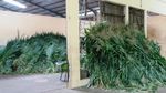 Gudang Makanan Taman Safari Prigen