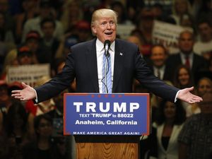 Penulis Nigeria Tulis Cerpen tentang Istri Donald Trump
