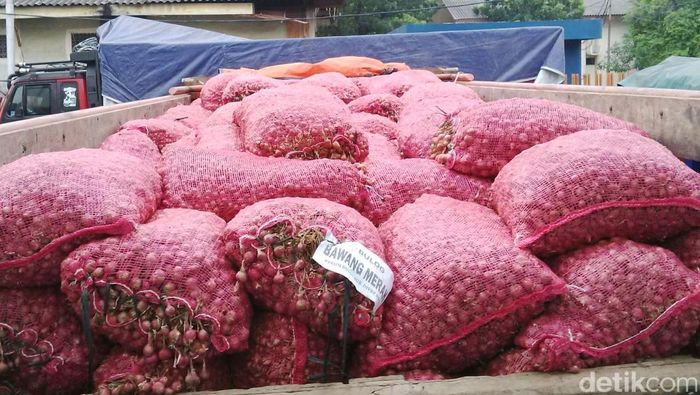 Ilustrasi Bawang Merah (Foto: Dana Aditiasari) Ilustrasi Bawang Merah (Foto: Dana Aditiasari)
