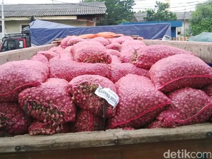 Bulog Ogah Beli Bawang Merah, Stok di Tingkat Petani Menumpuk