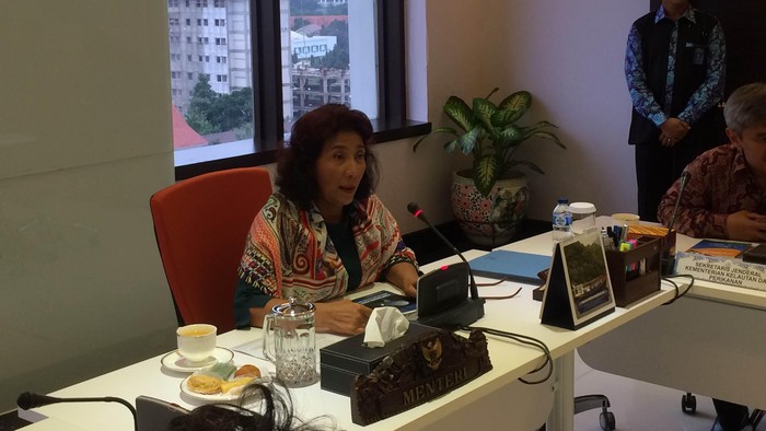 Selamatkan Sepasang Hiu Paus di Maluku, Menteri Susi: Banyak Oknum Bermain