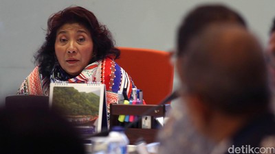 KKP Selamatkan 2 Hiu Paus di Maluku