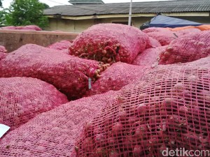 Penyelundupan 16,4 Ton Bawang Merah Ilegal Asal Malaysia Digagalkan