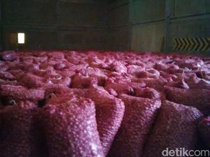 RIPH Tak Perlu, tapi Importir Wajib Patuhi 4 Syarat Ini
