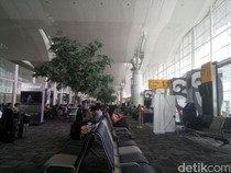 Wajib Tahu! Daftar 36 Bandara Internasional di Indonesia Resmi Kemenhub