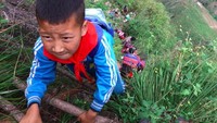 Atuleer, sebuah desa berusia 200 tahun di Provinsi Sichuan menjadi berita utama di seluruh dunia. Itu ketika foto-foto anak sekolah muncul pada tahun 2016 menuruni tebing di menggunakan tangga rotan yang memprihatinkan (Foto: Beijing News/Chen Jie)