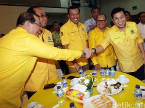 Soal Revisi UU Pilkada, Golkar Beda Pendapat dengan Presiden Jokowi