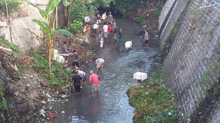 Gerakan Kembalikan Fungsi Sungai, Ribuan Ikan Ditebar di Sungai Kali Elo