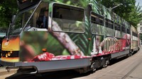 Italia sangat lekat dengan budaya minum kopi dan Indonesia memiliki produk kopi unggulan, maka dalam kampanye kali ini, Indonesia mengangkat produk unggulan kopi pada tram dengan slogan Noi e il caffe siamo due anime inseparabilli. Il suo aroma e il rituale che ci sveglia ogni mattina (Kami dan kopi adalah dua jiwa yang tak terpisahkan. Aroma dan ritualnyalah yang membangunkan kami setiap pagi). Pool/KBRI Roma.
