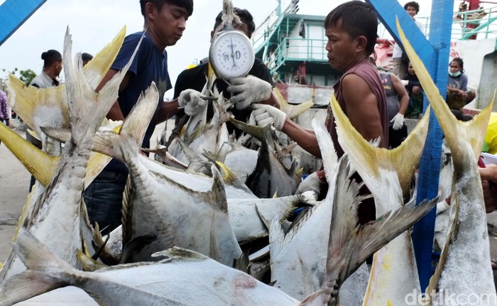 1.930 Ton Ikan Hasil Illegal Fishing Dilelang di Aceh
