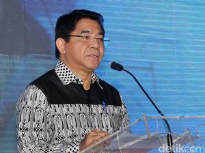 Setelah Tak Lagi Jadi Kepala BKPM, ke Mana Franky Sibarani?