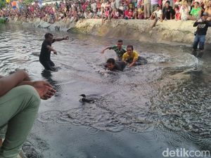Serunya Warga Mojo Berebut Bebek di Sungai Kalidami