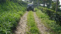 Foto: Pada beberapa titik, offroad terasa begitu menegangkan dengan posisi mobil yang miring. Goncangan pun makin dahsyat dan pastinya seru (Kurnia/detikTravel)