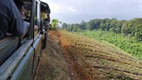 Foto: Traveler akan diajak melintasi jalanan menurun, menanjak hingga tikungan tajam. Tapi walau deg-degan, wisatawan bisa sambil menikmati pemandangan sekitar yang begitu indah (Kurnia/detikTravel)
