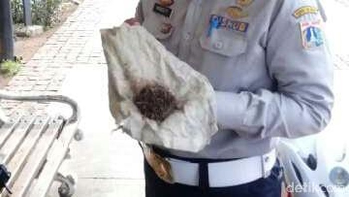 Dishub DKI Terus Keliling Jakarta Mencari Ranjau Paku, Begini Penampakannya