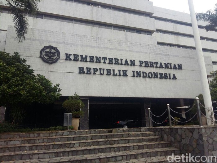 Nilai Ekspor Obat Hewan RI Meningkat Jadi Rp 26 T