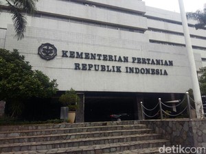Kementan Klaim Daging Kerbau dari India Aman dan Halal