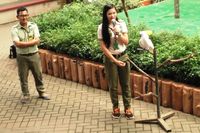 Liburan Tengah Tahun ke Taman Safari Prigen, Ada Atraksi Apa Saja?