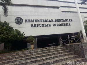 RI Minta India Jamin Impor Daging Kerbau Bebas Penyakit Mulut dan Kuku