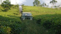 Foto: Suasana ketika melewati salah satu sisi perkebunan teh. Saat itu menjelang sore dan udara terasa cukup sejuk (Kurnia/detikTravel)