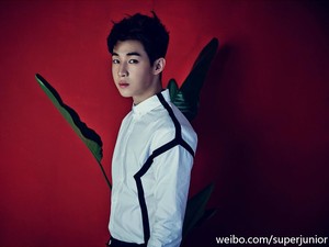 Jenius! 9 Idola K-Pop Ini Bisa Bicara Lebih dari 2 Bahasa