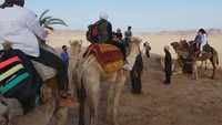 Foto: Tidak terlalu sulit untuk menaiki unta dari Captains Desert Camp, karena sepanjang perjalanan Anda akan ditemani oleh warga Badui yang ramah dan unta-unta juga saling terikat sehingga selalu berjalan beriringan dengan rombongan yang lain (Madin/detikTravel)