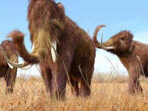 Proyek Mammoth Park