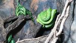 Mengintip Koleksi Ular di Taman Safari Prigen