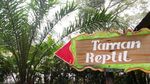 Mengintip Koleksi Ular di Taman Safari Prigen