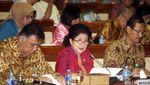 Menkes dan Komisi IX Bahas Hukuman Kebiri