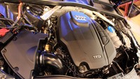 Untuk All New Audi A4 Quattro menawarkan mesin bensin (8W2BAY) berkapasitas 1.984, 4 silinder yang dikawinkan dengan direct injection, turbo charging dan Audi Valvelift system. Sedangkan untuk All New A4 2.0 TFSI (8W2BDG), menawarkan mesin berkapasitas 1.984, 4 silinder yang dikawinkan dengan direct injection, turbo charging dan Audi Valvelift system.