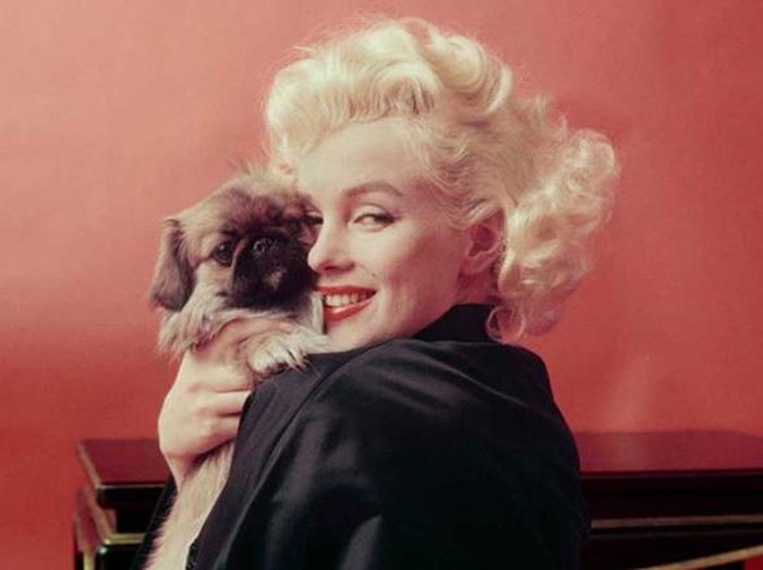 Catatan Rahasia di Buku Harian Marilyn Monroe