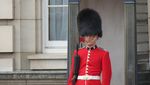 Ini Dia Pergantian Pasukan Istana Buckingham