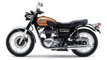 Goodbye Kawasaki W800